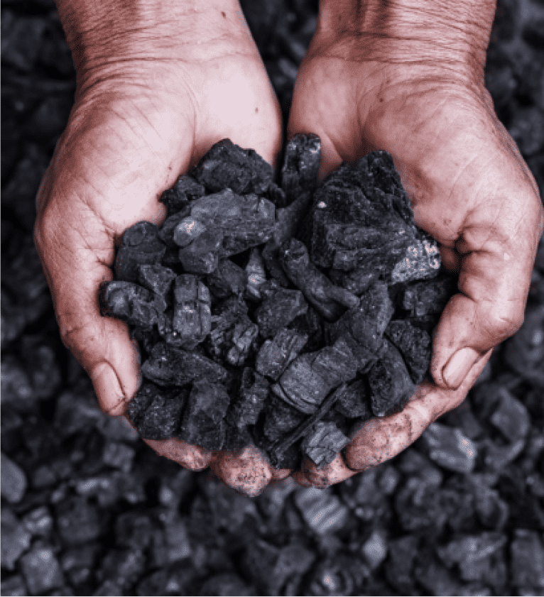 Produto Biochar